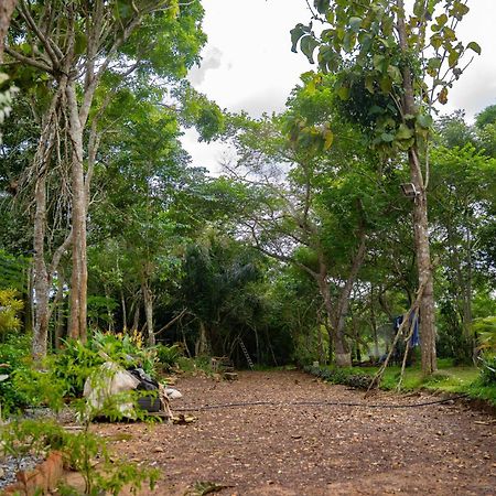 Obosomase Nature'S Cradle المظهر الخارجي الصورة